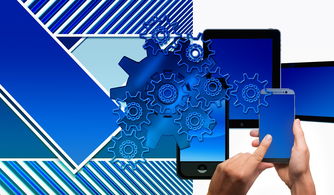 九游娱乐(jiuyou)官网-中国篮球联赛品牌建设及粉丝经济研究，国内篮球职业联赛