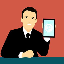 九游(jiuyou)官方网站-中国篮球联赛品牌建设策略与粉丝经济发展研究，中国国内的篮球联赛简称